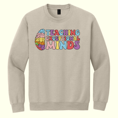 Teaching Exceptional Mids T99-046 - Heavy Blend Crewneck Sweatshirt Thumbnail