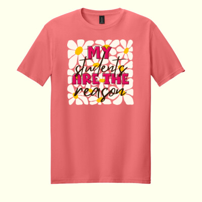 My Students are the Reason T99-051 - Adult Softstyle ® T Shirt Thumbnail