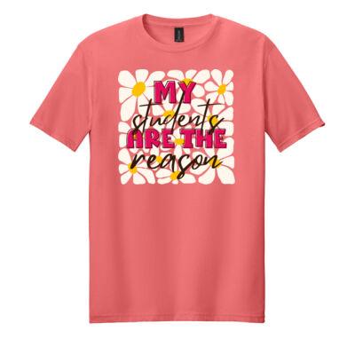 My Students are the Reason T99-051 - Adult Softstyle ® T Shirt Thumbnail