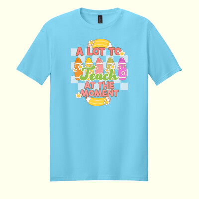 A Lot to Teach T99-054 - Adult Softstyle ® T Shirt Thumbnail