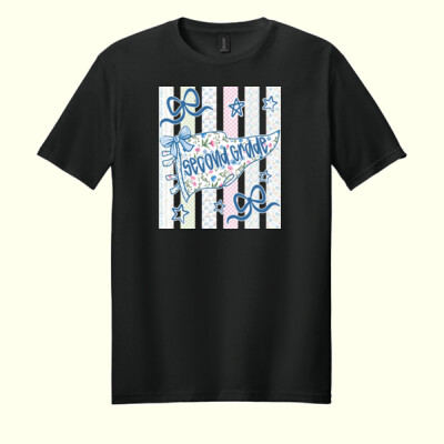 Second Grade Pennant 89-055 - Adult Softstyle ® T Shirt Thumbnail