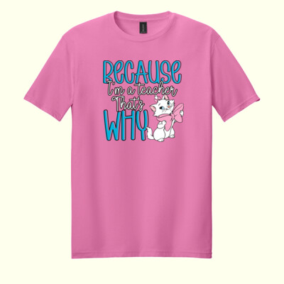 Because I'm a Teacher That's Why 99-193 - Adult Softstyle ® T Shirt Thumbnail