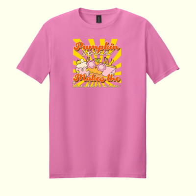 Pumpkin Spice Makes the Teacher Nice 🎃☕40-030 - Adult Softstyle ® T Shirt Thumbnail